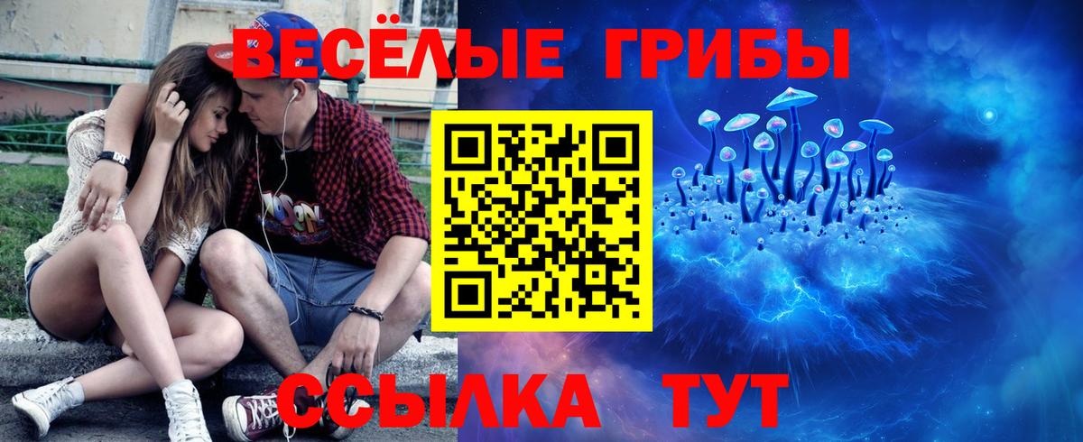 Псилоцибиновые грибы мицелий Новодвинск