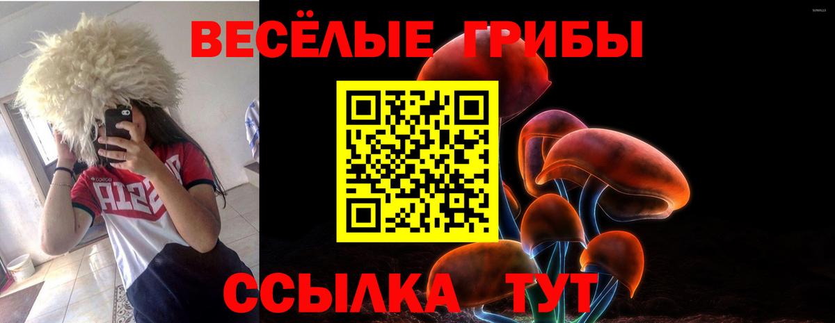 Галлюциногенные грибы ЛСД  Галлюциногенные грибы мицелий  цены   Вход с VPN  Новодвинск 
